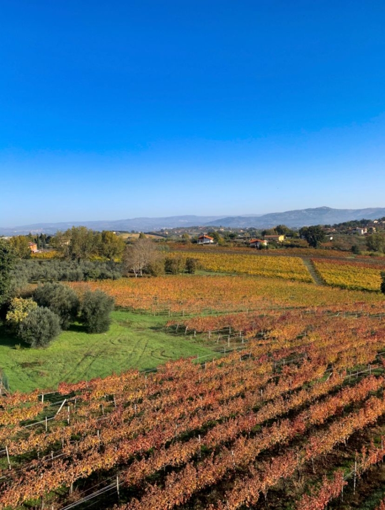 vitigni-villa-matilde