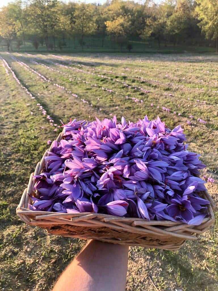 -dalle-sabbie-del-mare-