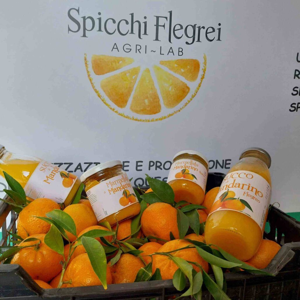 spicchi-flegrei-laboratorio-