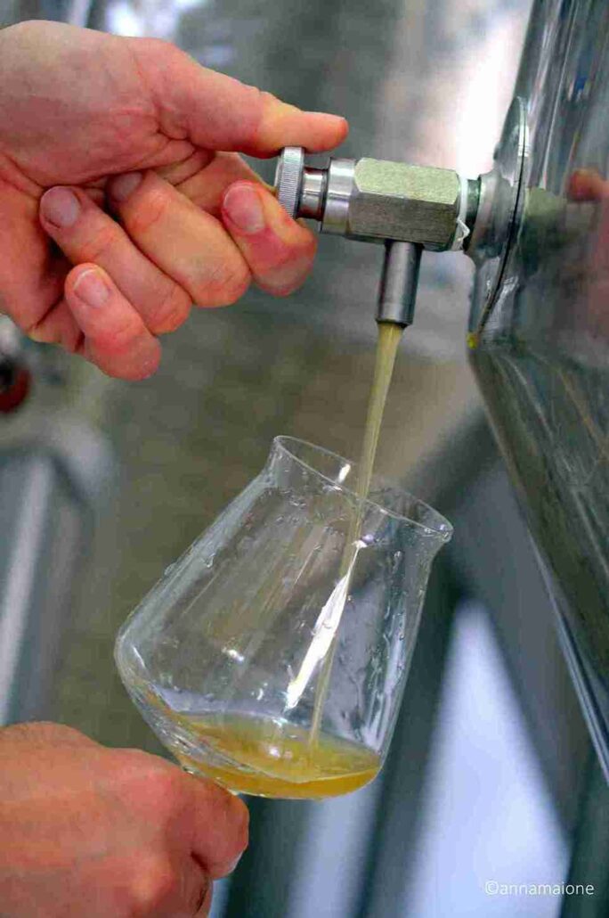 syrentum birrificio sorrento
