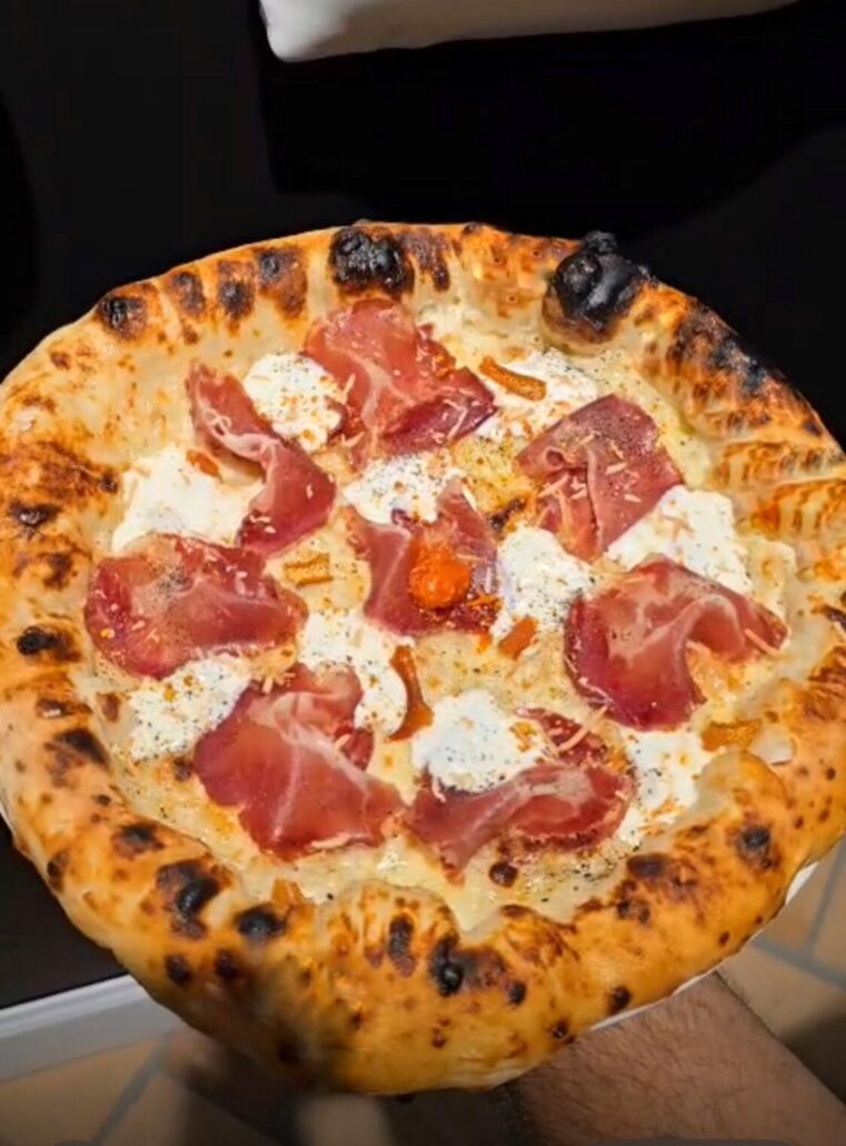 Le Brebis Méditerranéen